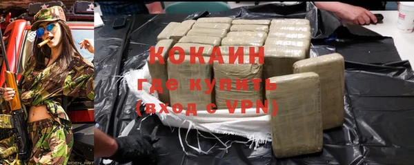 индика Саяногорск