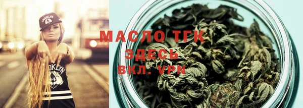 индика Саяногорск