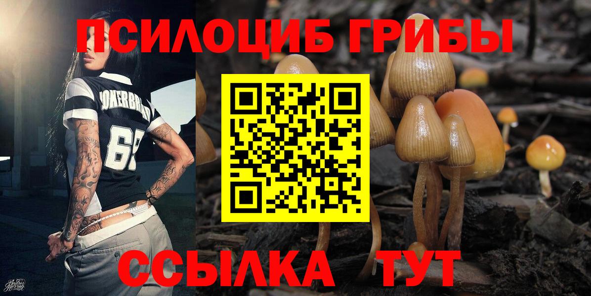 Белореченск  Галлюциногенные грибы Cubensis  Вход с VPN  Псилоцибиновые грибы Psilocybe 