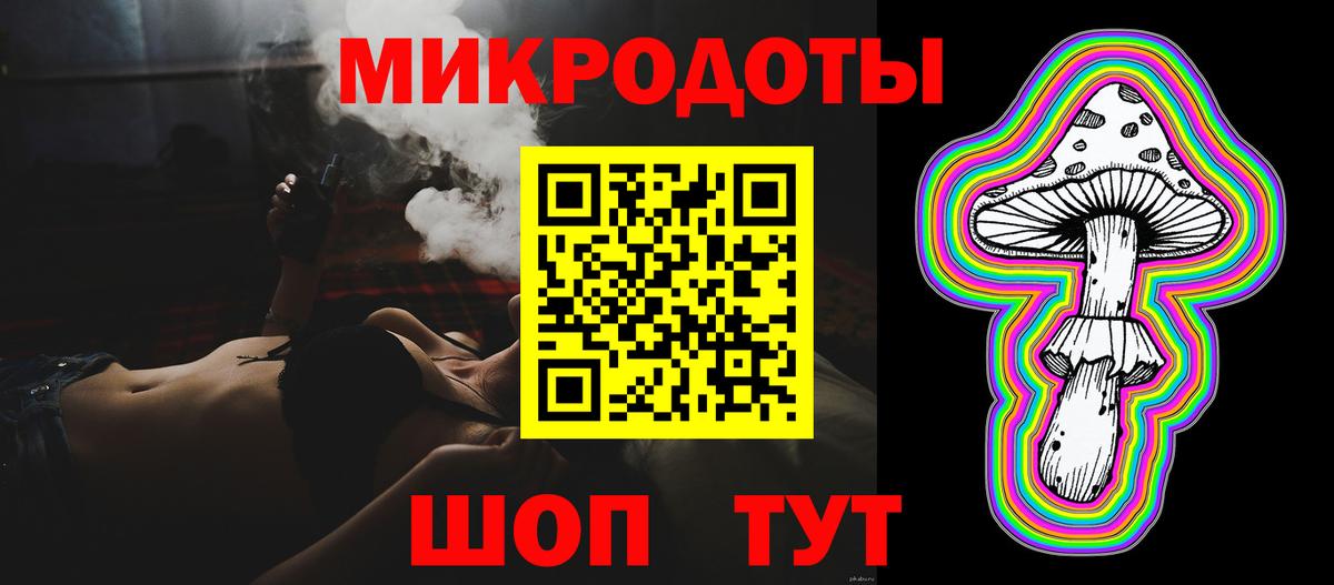 Псилоцибиновые грибы Psilocybine cubensis Белореченск